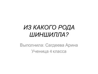 Из какого рода шиншилла?