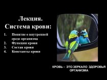 Система крови. Понятие о внутренней среде организма. Функции крови. Состав крови. Константы крови