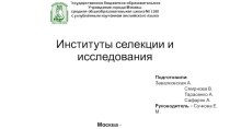 Институты селекции и исследования