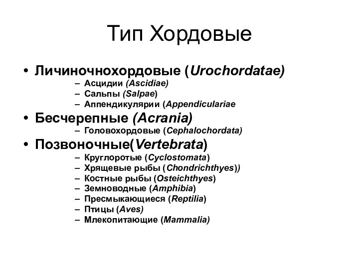 Тип ХордовыеЛичиночнохордовые (Urochordatae)Асцидии (Ascidiae)Сальпы (Salpae)Аппендикулярии (AppendiculariaeБесчерепные (Acrania)Головохордовые (Cephalochordata)Позвоночные(Vertebrata)Круглоротые (Cyclostomata) Хрящевые рыбы (Chondrichthyes))Костные