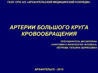 Артерии большого круга кровообращения