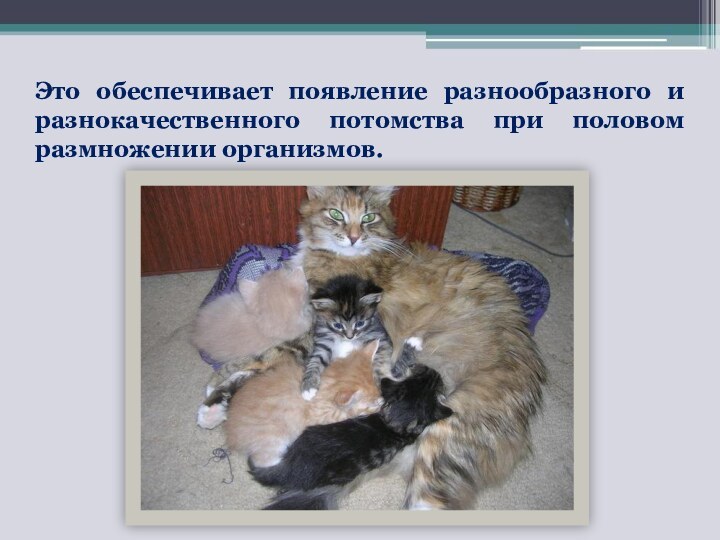 Это обеспечивает появление разнообразного и разнокачественного потомства при половом размножении организмов.