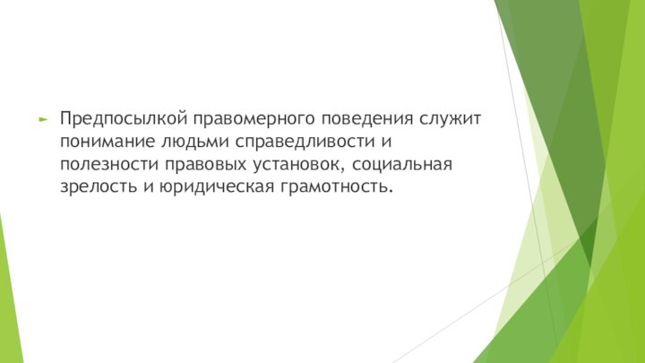 Предпосылкой правомерного поведения служит понимание людьми справедливости и полезности правовых установок, социальная зрелость и юридическая грамотность.