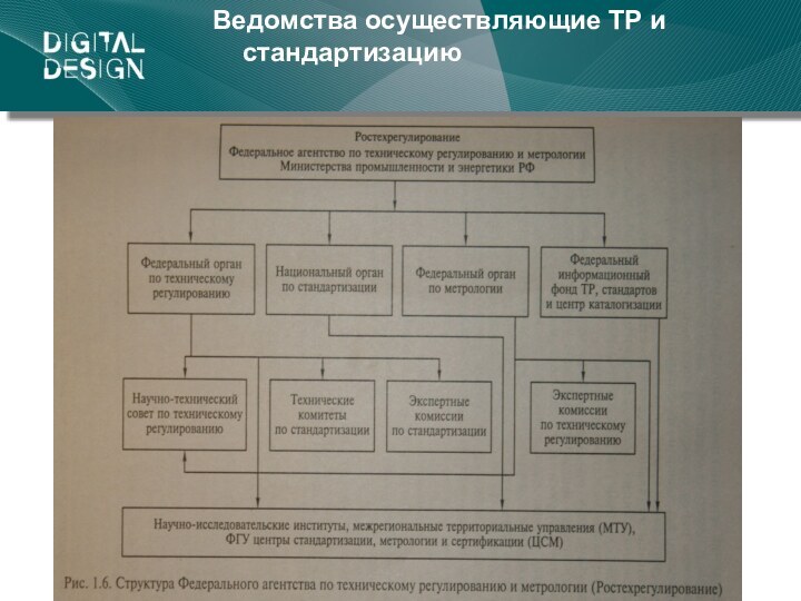 Ведомства осуществляющие ТР и стандартизацию*