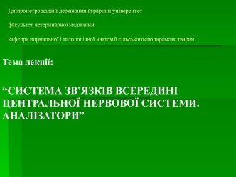 Система звʼязків всередині центральної нервової системи. Аналізатори