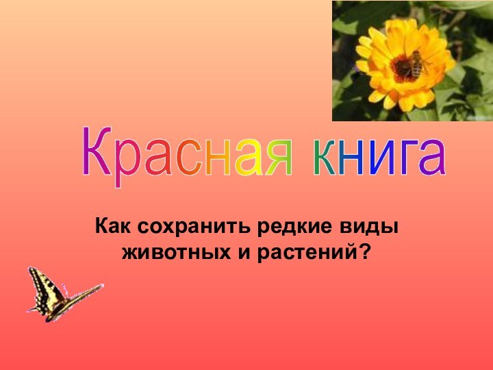 Как сохранить редкие виды животных и растений?Красная книга