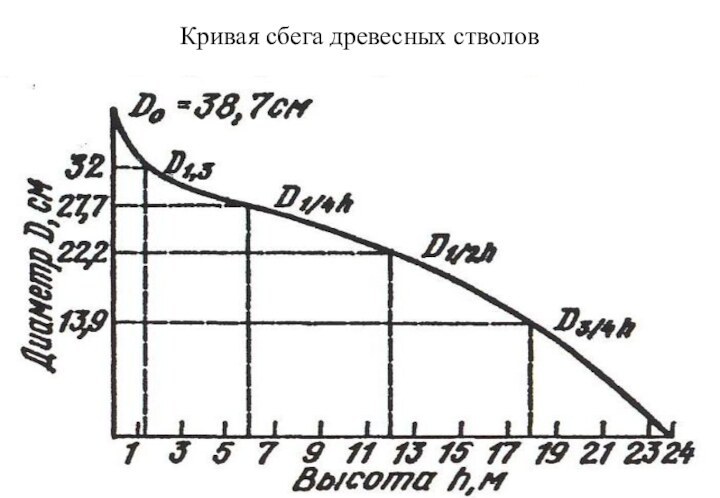 Кривая сбега древесных стволов