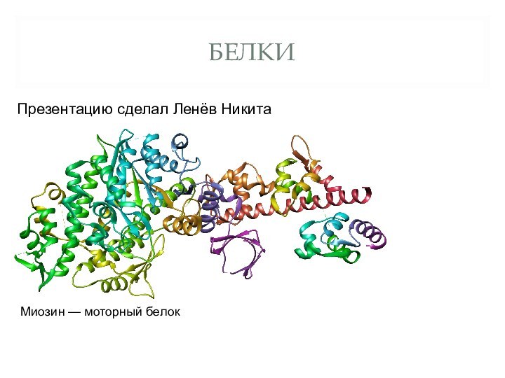 БЕЛКИПрезентацию сделал Ленёв НикитаМиозин — моторный белок