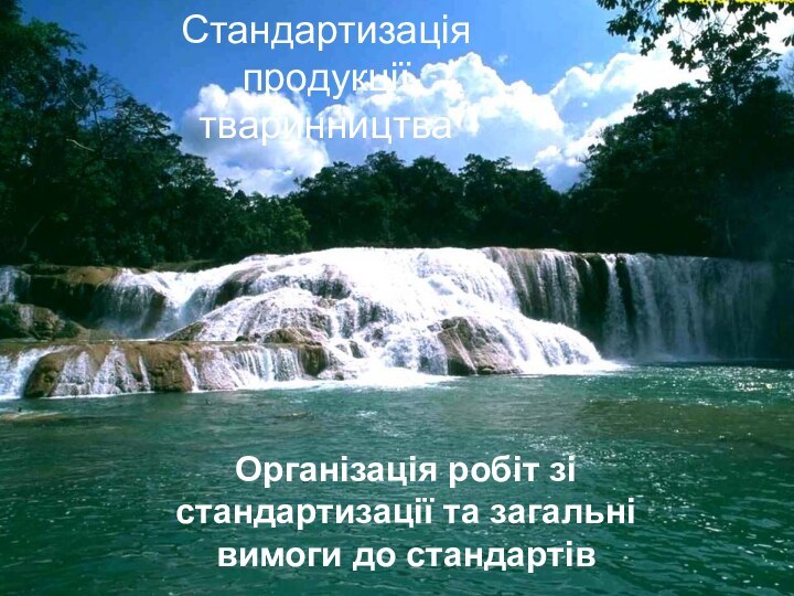 Стандартизація продукції тваринництваОрганізація робіт зі стандартизації та загальні вимоги до стандартів