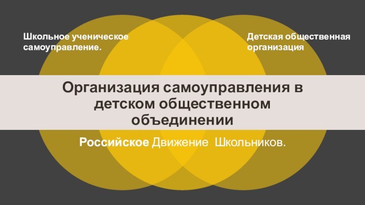 Организация самоуправления в детском общественном объединении Российское Движение Школьников. Школьное ученическое самоуправление.Детская общественная организация