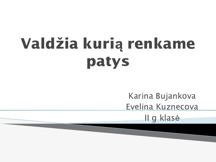 Valdžia kurią renkame patysKarina BujankovaEvelina KuznecovaII g klasė