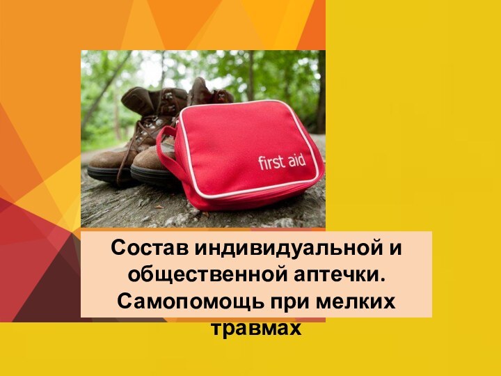 Состав индивидуальной и общественной аптечки. Самопомощь при мелких травмах