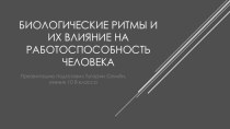 Биологические ритмы и их влияние на работоспособность человека