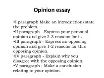 Opinion essay