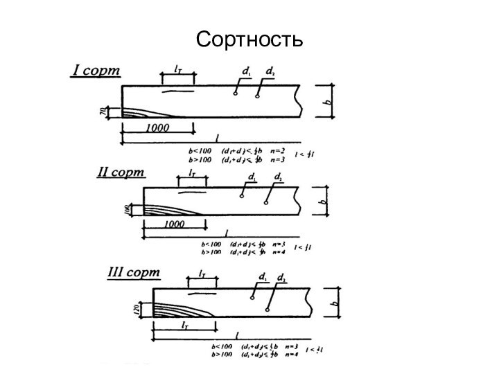 Сортность