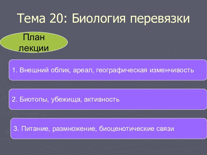 Тема 20: Биология перевязкиПлан лекции1. Внешний облик, ареал, географическая изменчивость2. Биотопы, убежища,