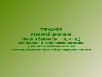 Тренажёр для коррекции и профилактики дисграфии учащихся начальных классов с фонетико-фонематическим и общим недоразвитием речи