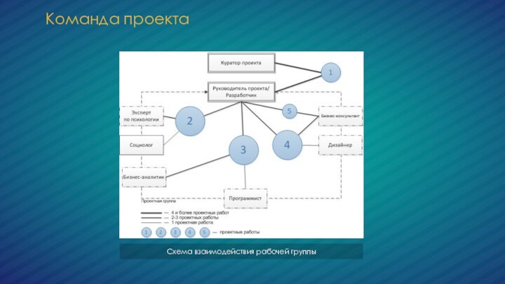 Команда проектаСхема взаимодействия рабочей группы