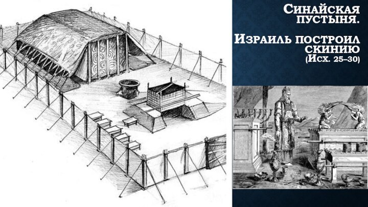 СИНАЙСКАЯ ПУСТЫНЯ.   ИЗРАИЛЬ ПОСТРОИЛ СКИНИЮ  (ИСХ. 25–30)