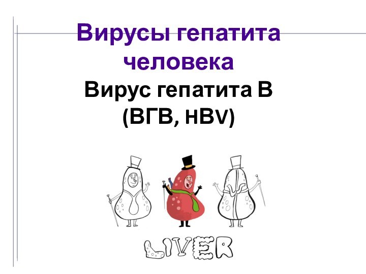 Вирусы гепатита человекаВирус гепатита В(ВГВ, HВV)Тема лекции