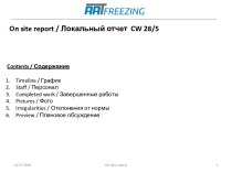 On site report / Локальный отчет CW 28/5