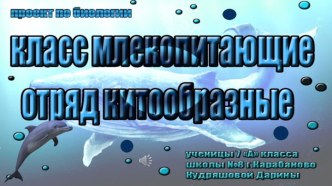 Класс Млекопитающие, отряд Китообразные