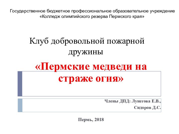 Клуб добровольной пожарной дружины «Пермские медведи на страже огня»Члены ДПД: Лунегова