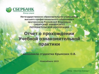 Отчет о прохождении учебной ознакомительной практики на МСЦ Восток-Запад ОАО Сбербанк России