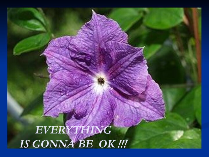 EVERYTHING IS GONNA BE OK !!!