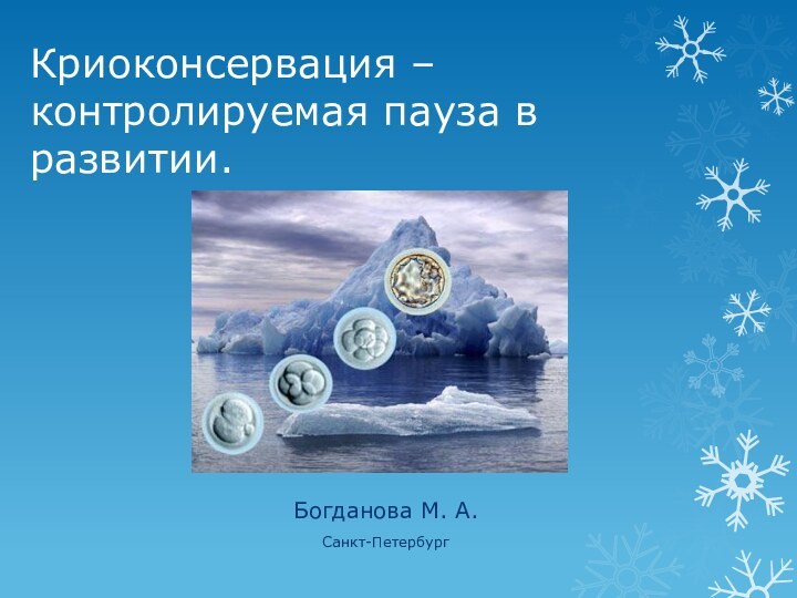 Криоконсервация – контролируемая пауза в развитии.Богданова М. А. Санкт-Петербург