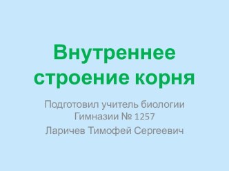 Внутреннее строение корня