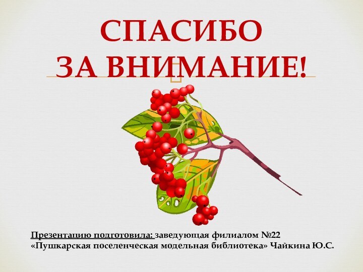 СПАСИБО ЗА ВНИМАНИЕ!Презентацию подготовила: заведующая филиалом №22 «Пушкарская поселенческая модельная библиотека» Чайкина Ю.С.