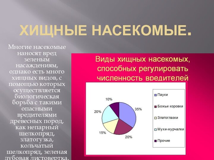 ХИЩНЫЕ НАСЕКОМЫЕ.Многие насекомые наносят вред зеленым насаждениям, однако есть много хищных видов,