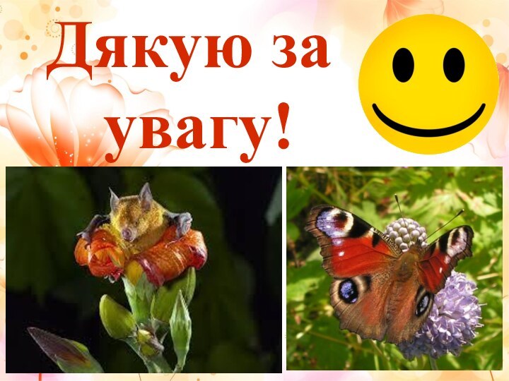 Дякую за увагу!