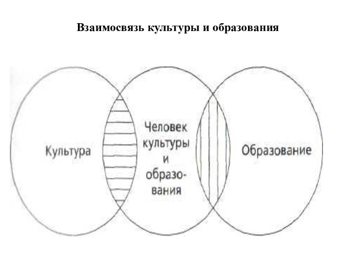 Взаимосвязь культуры и образования