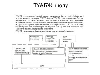 ТҮАБЖ шолу