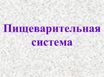 Пищеварительная система