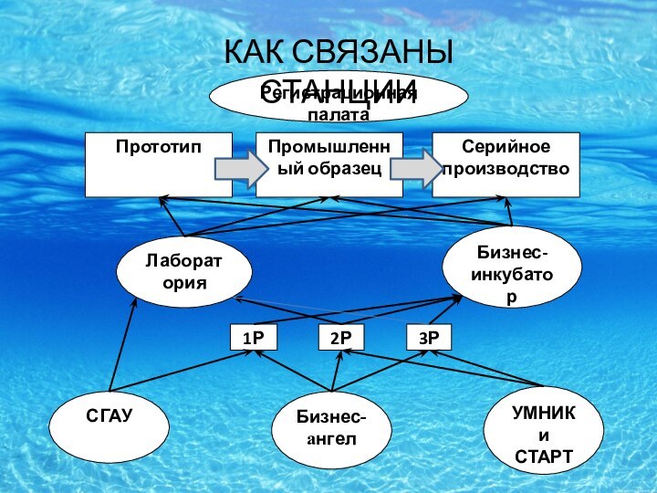 ЛабораторияСГАУБизнес-инкубаторБизнес-ангелУМНИК и СТАРТРегистрационная палатаПрототип3Р2Р1РСерийное производствоПромышленный образецКАК СВЯЗАНЫ СТАНЦИИ