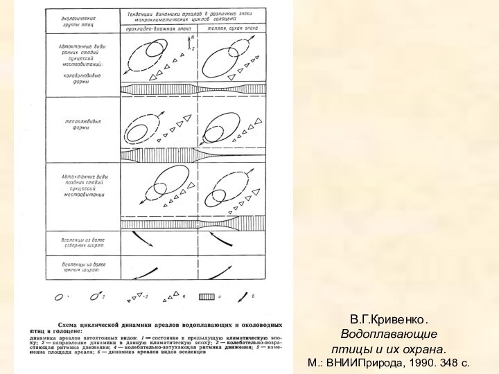 В.Г.Кривенко.  Водоплавающие  птицы и их охрана.  М.: ВНИИПрирода, 1990. 348 с.