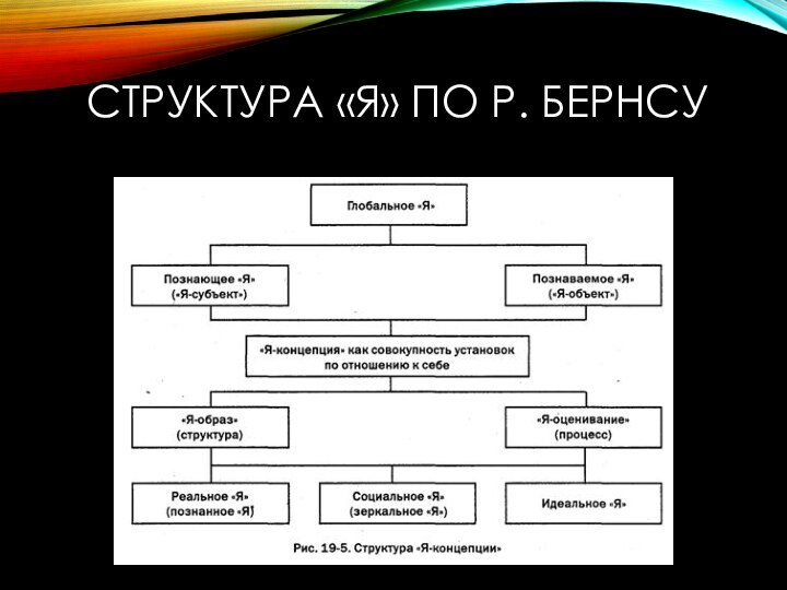 СТРУКТУРА «Я» ПО Р. БЕРНСУ