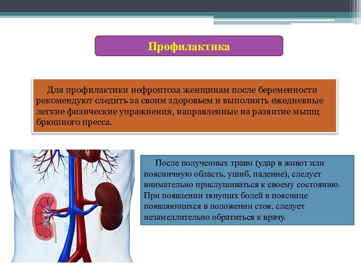 Профилактика      Для профилактики нефроптоза женщинам после беременности