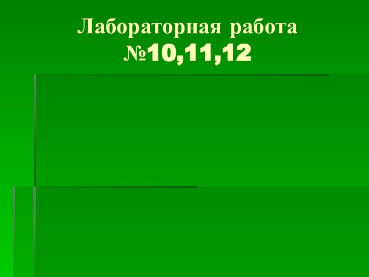 Лабораторная работа №10,11,12