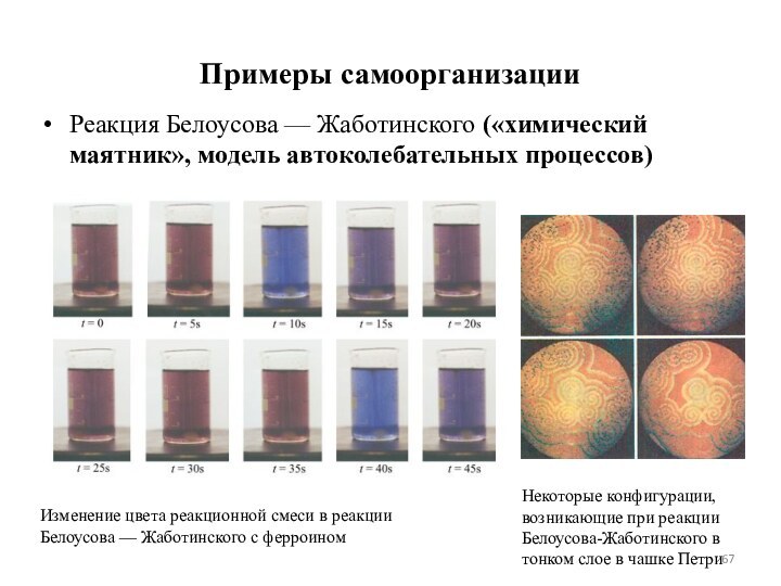 Примеры самоорганизацииРеакция Белоусова — Жаботинского («химический маятник», модель автоколебательных процессов)Изменение цвета реакционной