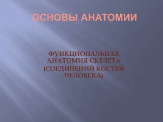 Основы анатомии. Функциональная анатомия скелета