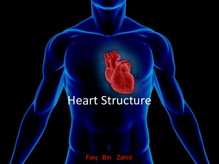Heart StructureFaiq  Bin  Zahid