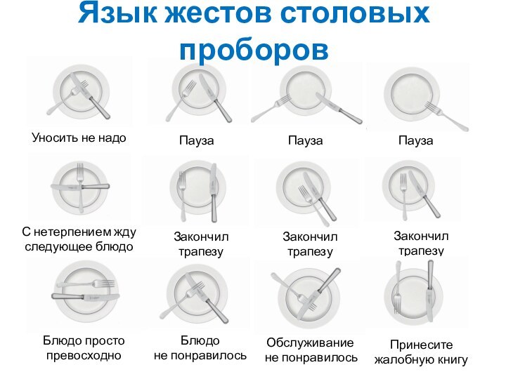 ПаузаЗакончил трапезуС нетерпением жду следующее блюдоБлюдо просто превосходноБлюдо не понравилосьУносить не надоПаузаПаузаЗакончил