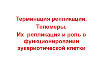 Терминация репликации. Теломеры. Их репликация и роль в функционировании эукариотической клетки