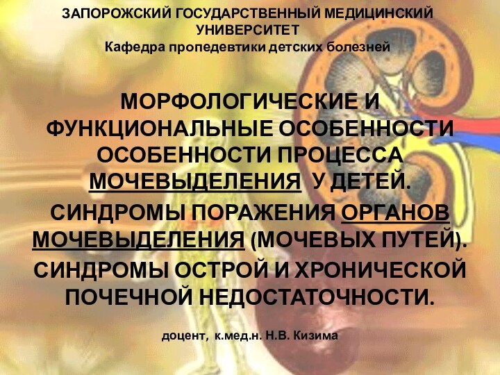 ЗАПОРОЖСКИЙ ГОСУДАРСТВЕННЫЙ МЕДИЦИНСКИЙ УНИВЕРСИТЕТ Кафедра пропедевтики детских болезней МОРФОЛОГИЧЕСКИЕ И ФУНКЦИОНАЛЬНЫЕ ОСОБЕННОСТИ