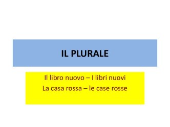 Il plurale. Il libro nuovo – I libri nuovi