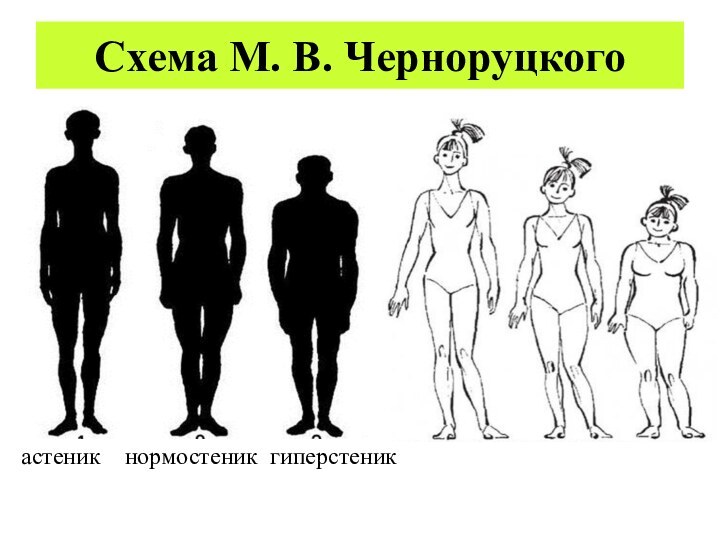Схема М. В. Черноруцкогоастеник  нормостеник гиперстеник